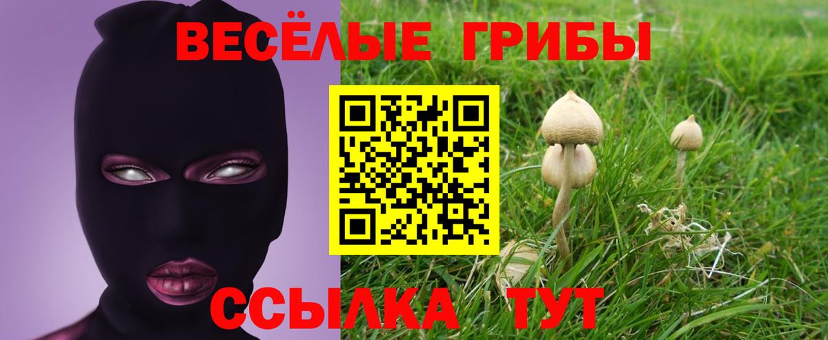 Похвистнево  Галлюциногенные грибы Magic Shrooms  Вход с VPN 